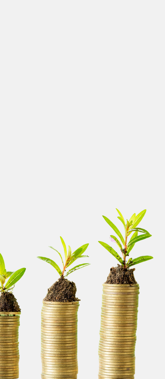 artificial intelligence services