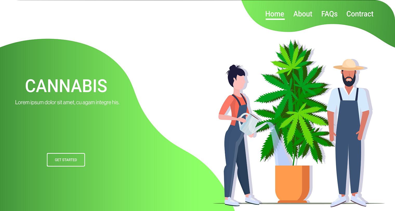 Multi-State Cannabis E-Commerce Platform case study image